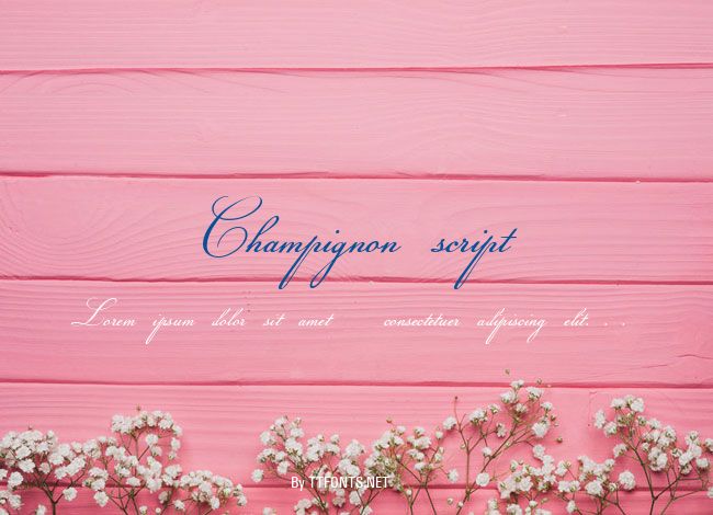 Champignon script example