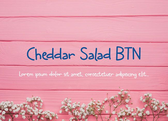 Cheddar Salad BTN example