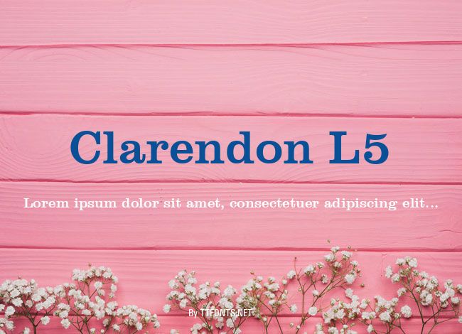 Clarendon L5 example