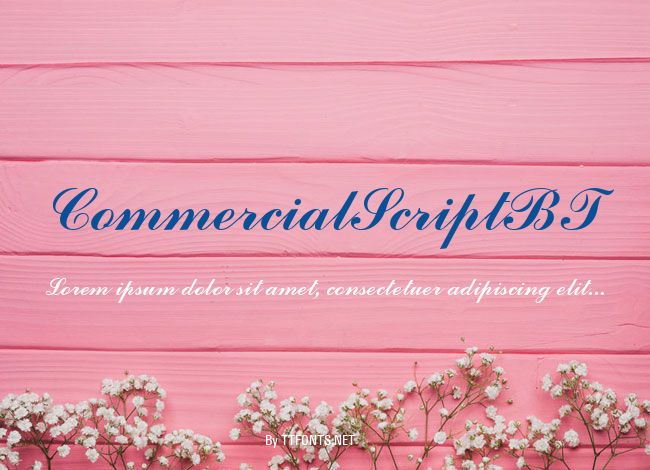 CommercialScriptBT example