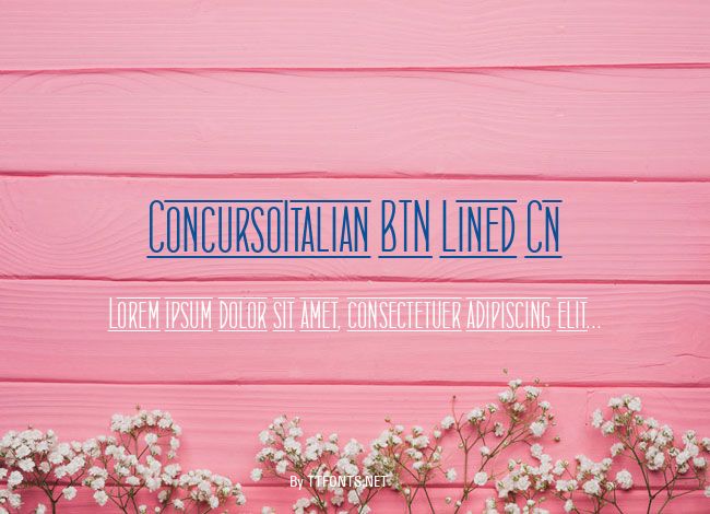 ConcursoItalian BTN Lined Cn example
