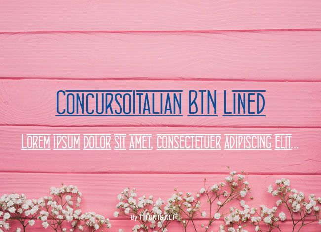 ConcursoItalian BTN Lined example