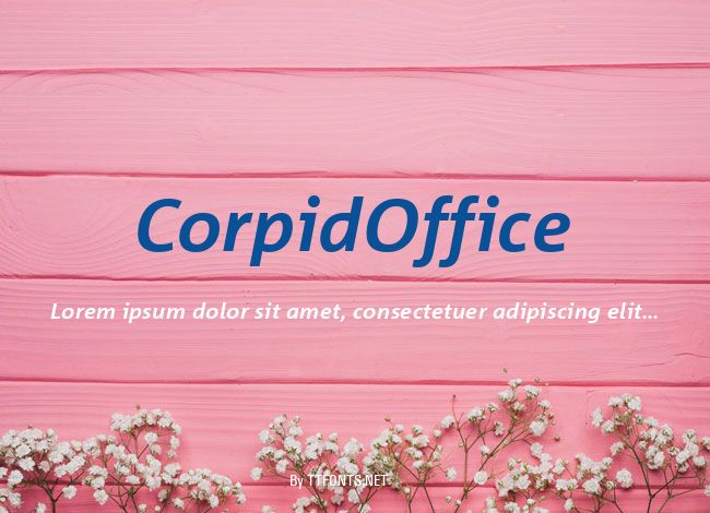 CorpidOffice example