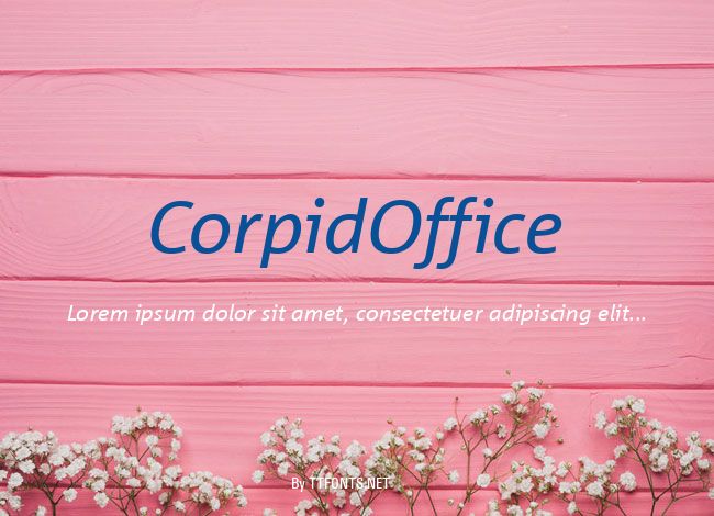 CorpidOffice example