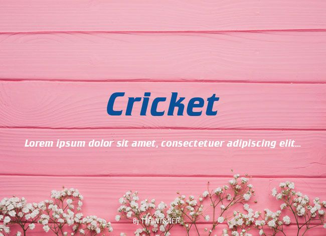 Cricket example