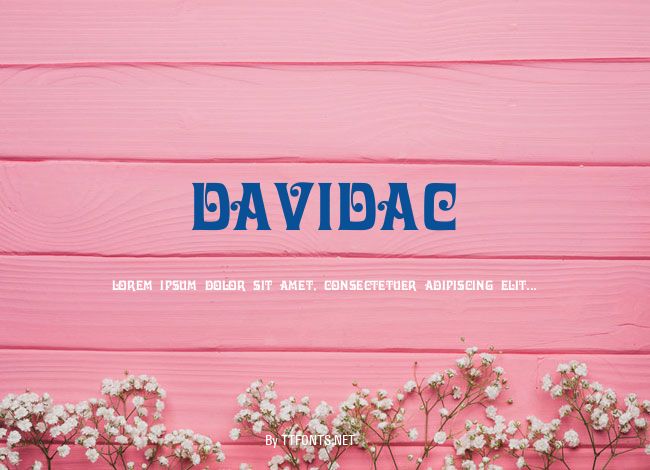 DavidaC example