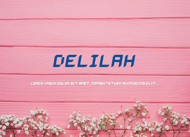 Delilah example