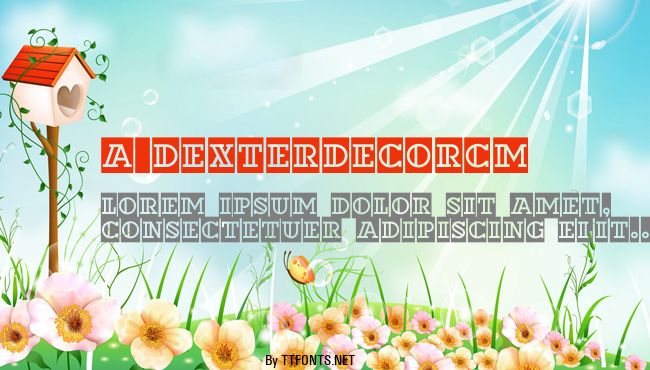 a_DexterDecorCm example