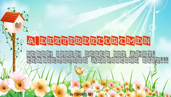 a_DexterDecorCmDn example
