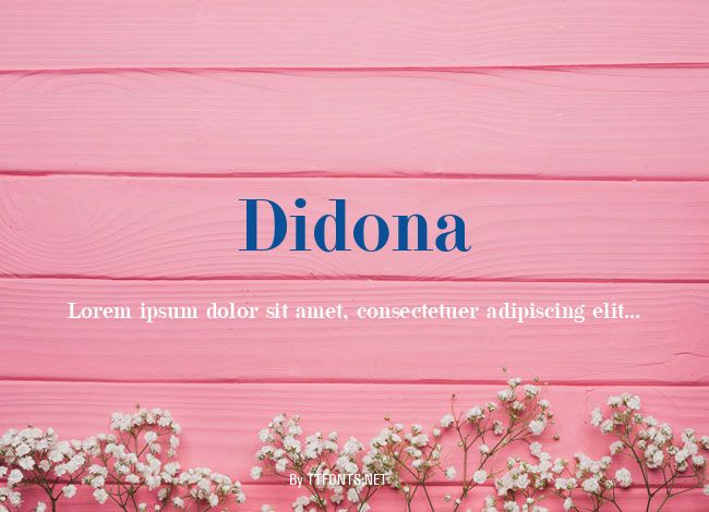 Didona example