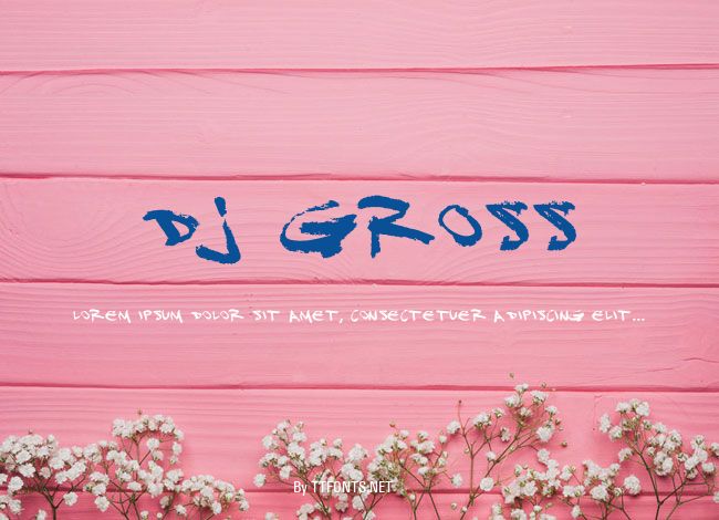 DJ Gross example