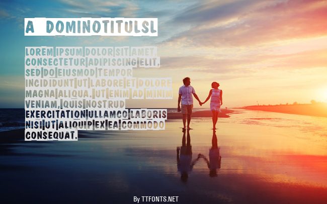 a_DomInoTitulSl example