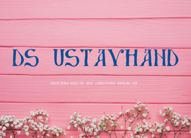 DS UstavHand example