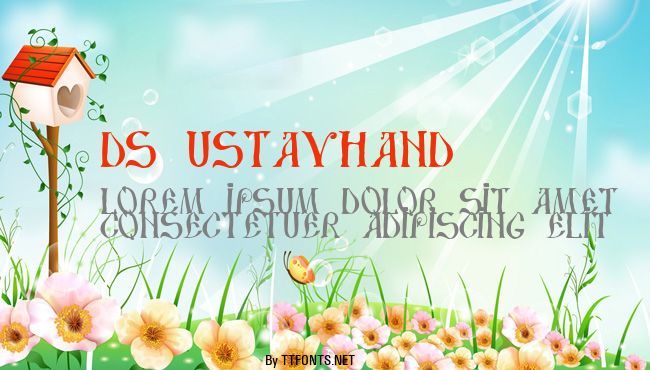 DS UstavHand example