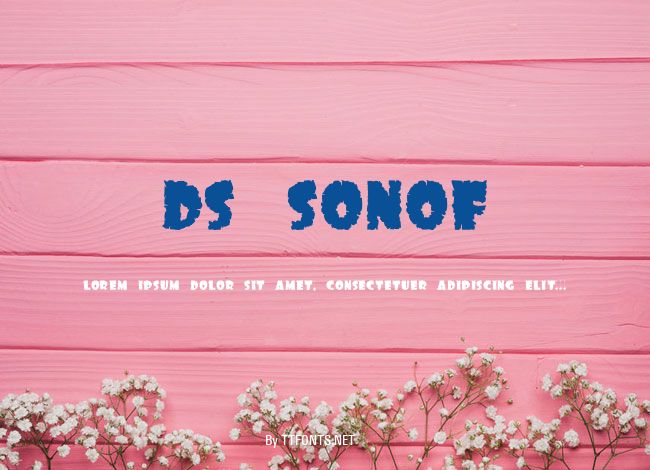 DS SonOf example