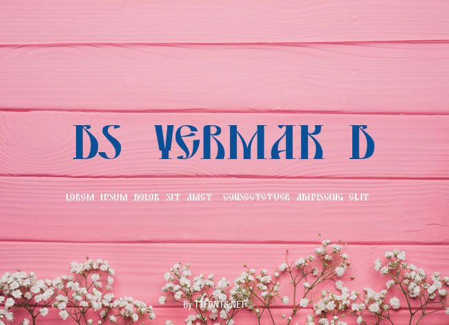 DS Yermak_D example