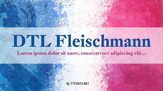 DTL Fleischmann example