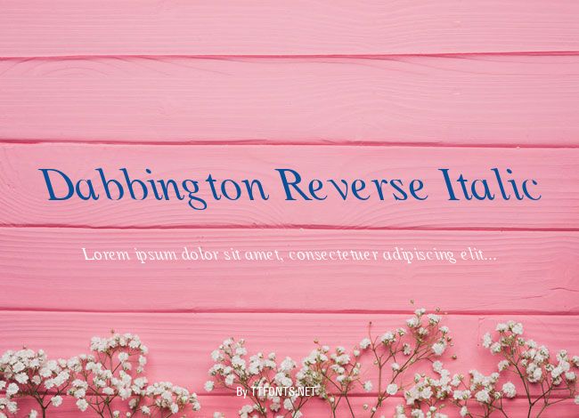 Dabbington Reverse Italic example