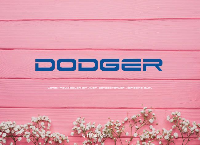 Dodger example
