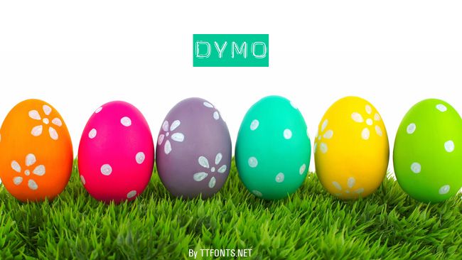 Dymo example