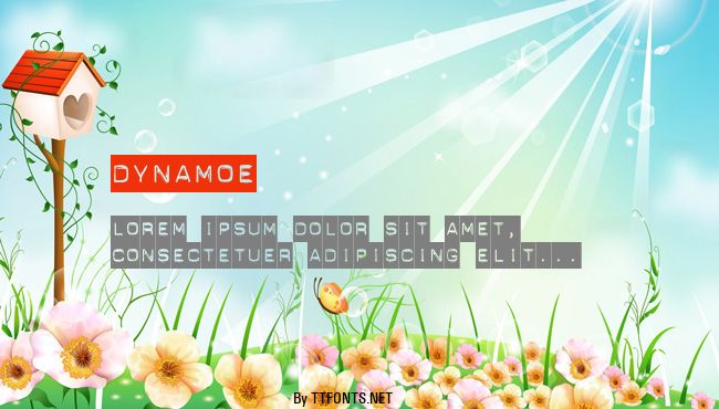 Dynamoe example