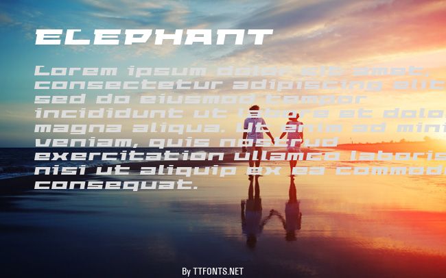 ELEPHANT example