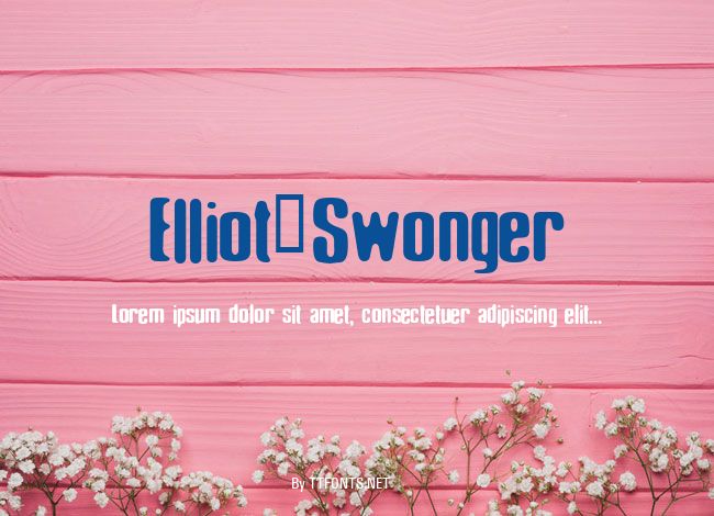 Elliot_Swonger example