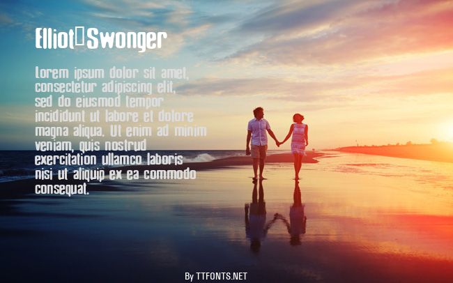 Elliot_Swonger example