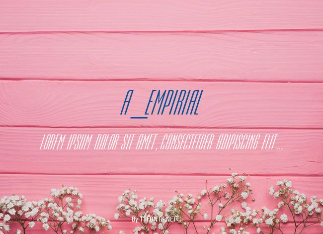 a_Empirial example