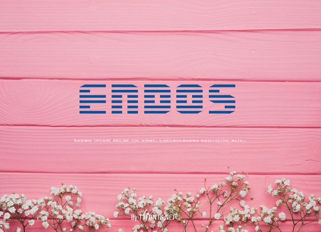 ENDOS example