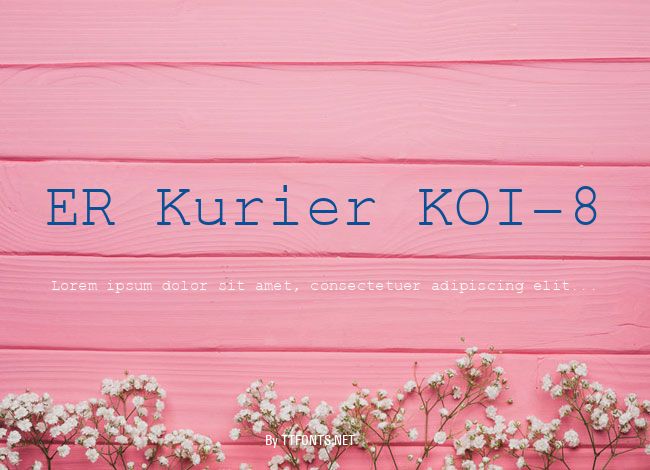ER Kurier KOI-8 example