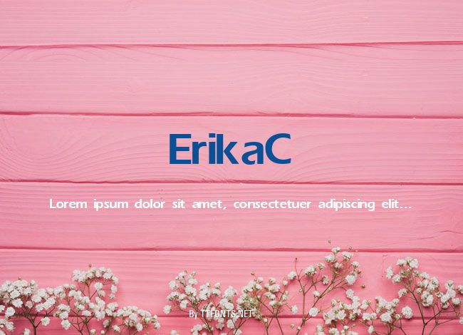 ErikaC example