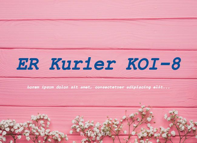 ER Kurier KOI-8 example