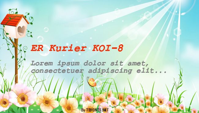 ER Kurier KOI-8 example