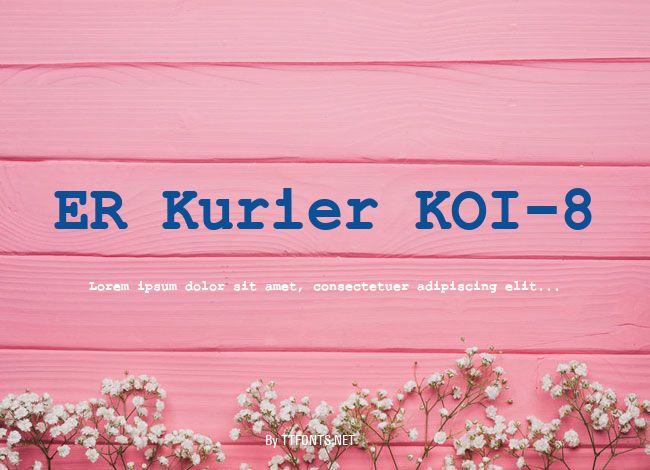 ER Kurier KOI-8 example