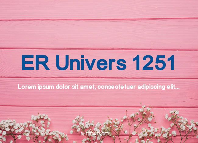 ER Univers 1251 example