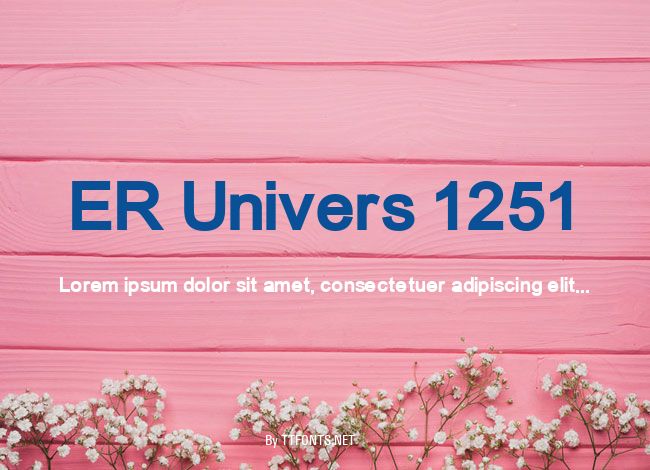 ER Univers 1251 example