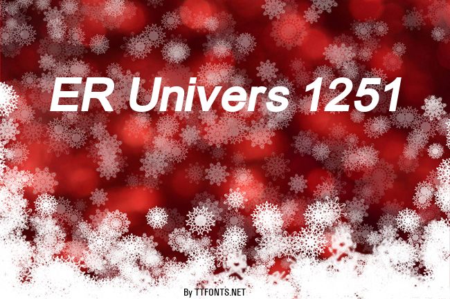 ER Univers 1251 example