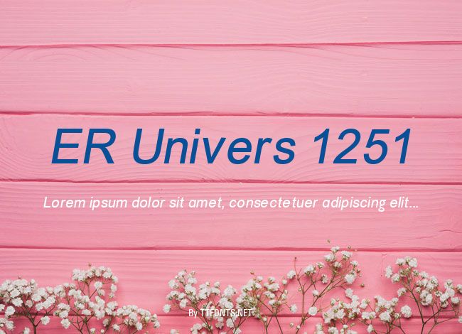 ER Univers 1251 example