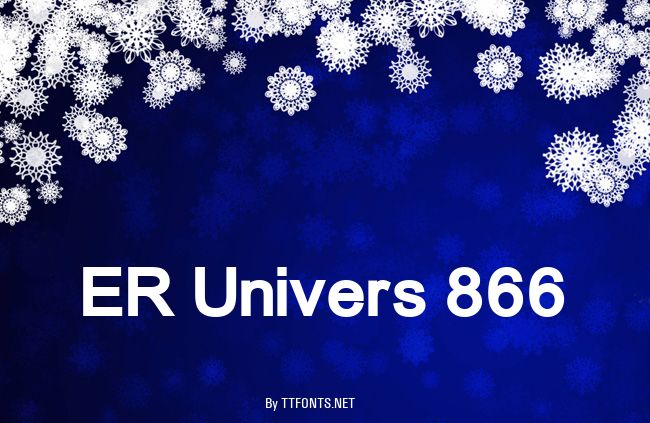 ER Univers 866 example