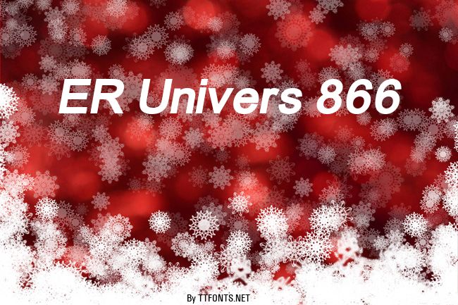 ER Univers 866 example
