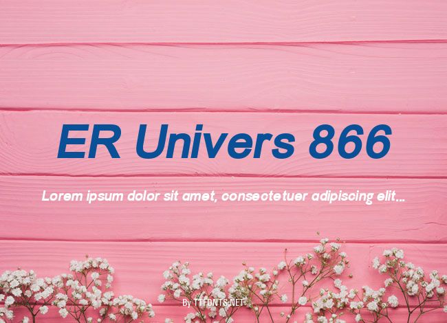 ER Univers 866 example