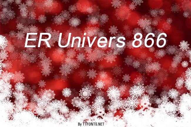 ER Univers 866 example