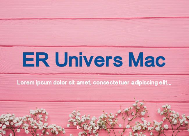 ER Univers Mac example