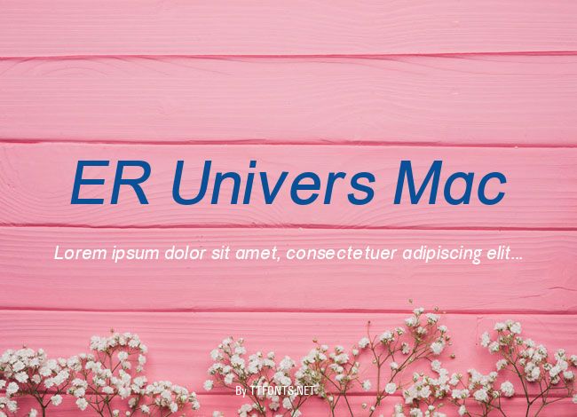 ER Univers Mac example