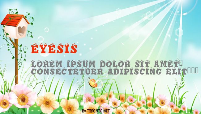 Eyesis example