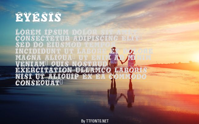 Eyesis example