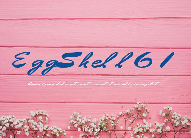 EggShell61 example