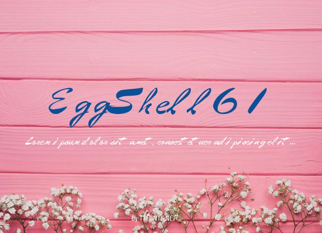 EggShell61 example