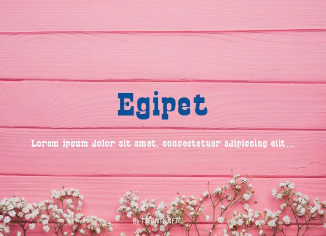 Egipet example